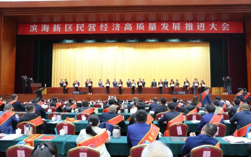 張穎書記出席濱海新區民營經濟高質量發展推進大會并在會上發言