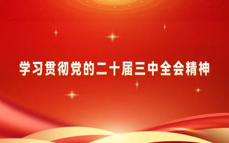 學習貫徹黨的二十屆三中全會精神 - 榮程青年為推進中國式現代化挺膺擔當