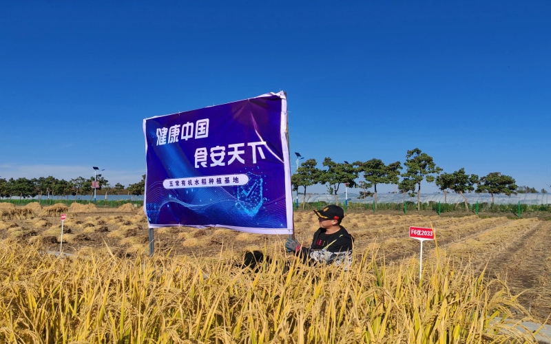 榮程集團：一粒“種子”的新?lián)?>
								</div>
															
							<div   id=