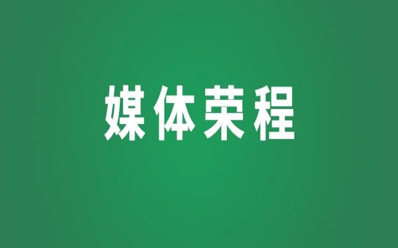 媒體榮程｜在法治護航中踏浪前行——寫在民營經濟促進法通過之際