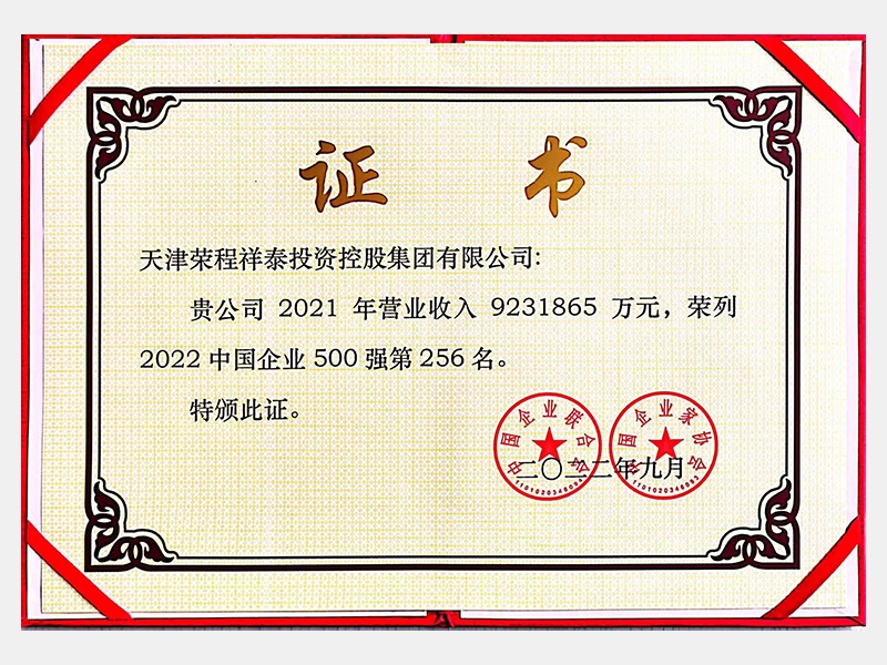 中國企業500強第256名