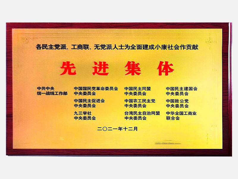 各民主黨派、工商聯、無黨派人士為全面建成小康社會作貢獻先進集體