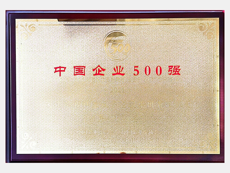 2021中國企業500強第257名