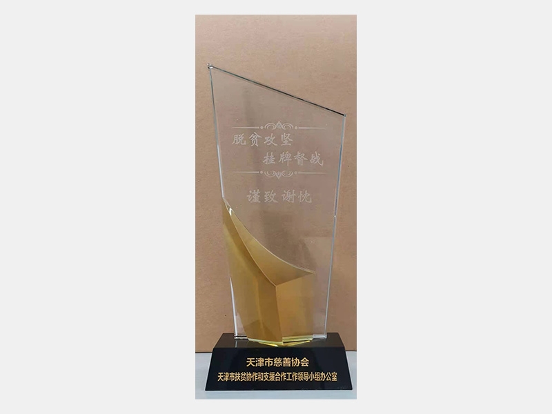助力掛牌督戰貧困村打贏脫貧攻堅戰突出貢獻