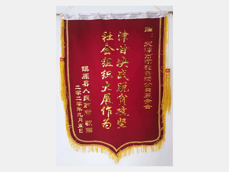 津甘決戰脫貧攻堅 社會組織大展作為錦旗